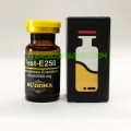 Buddha Pharma Testosteron Enanthate 250mg 10ml