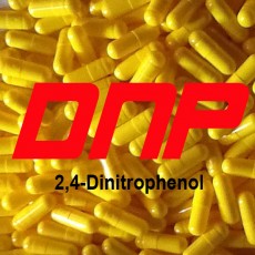 DNP Nedir? Nasıl Çalışır? Yan etkileri nelerdir?