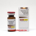 Genuine Genesis Testosteron Enanthate 250mg 10ml
